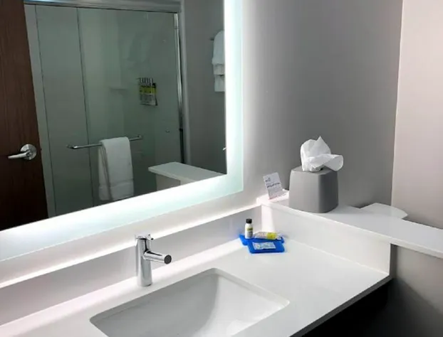 Holiday Inn Express & Suites Bensenville - O'Hare by IHG hotel detail image 4