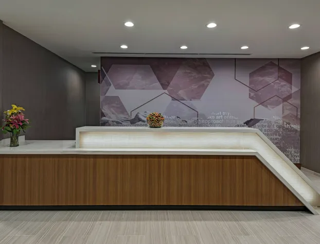 SpringHill Suites by Marriott Denver West/Golden hotel detail image 4