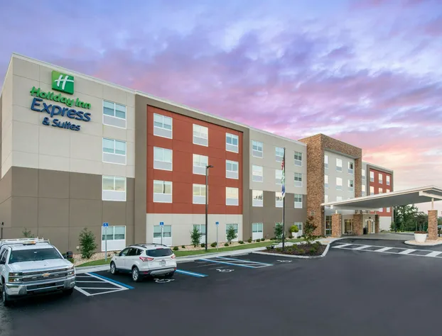 Holiday Inn Express & Suites Alachua - Gainesville Area by IHG hotel detail image 3