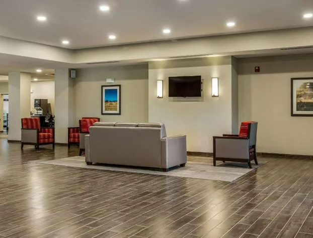 Comfort Suites Brunswick Town Center hotel detail image 4