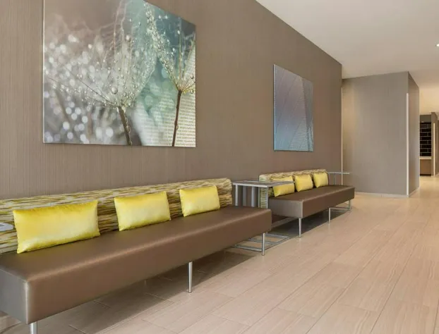 SpringHill Suites by Marriott Milwaukee West/Wauwatosa hotel detail image 3