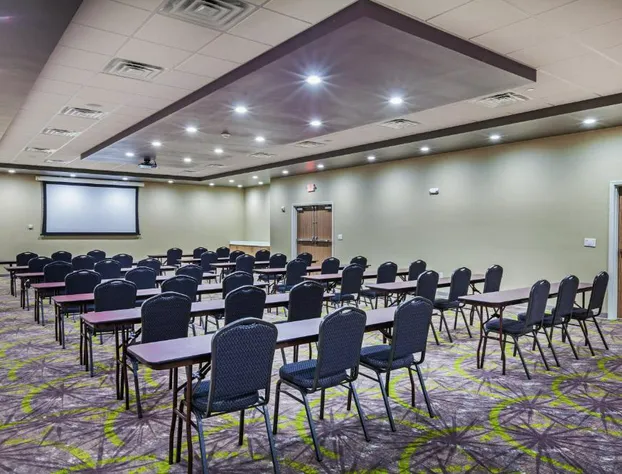 Holiday Inn Amarillo East by IHG hotel detail image 3
