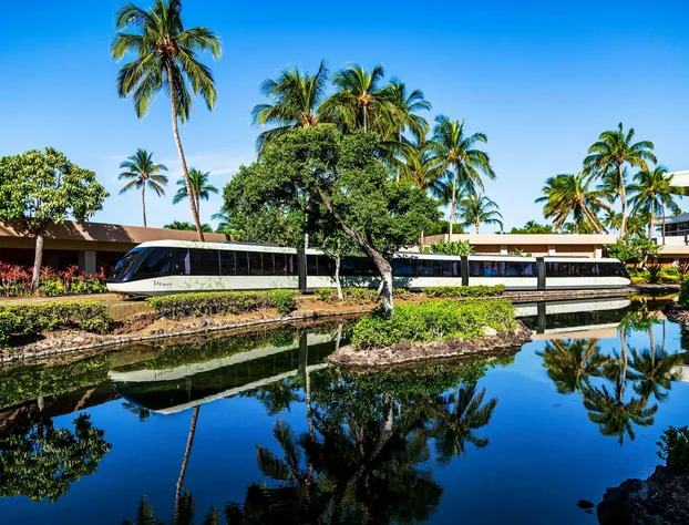 Hilton Waikoloa Village hotel detail image 1