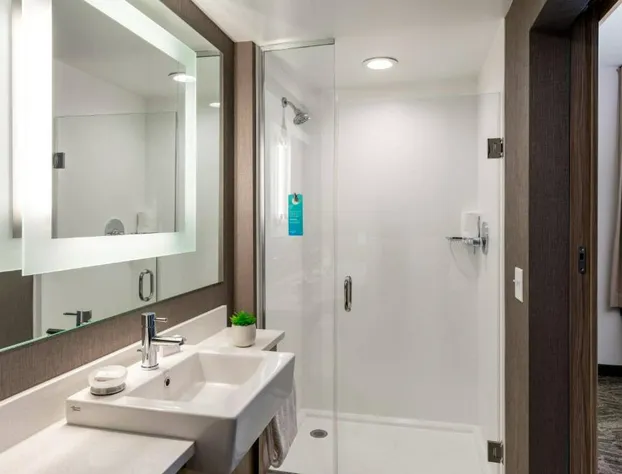 SpringHill Suites by Marriott Chattanooga South/Ringgold, GA hotel detail image 1