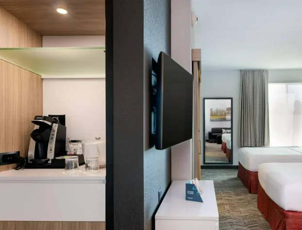 SpringHill Suites by Marriott Chattanooga South/Ringgold, GA hotel detail image 3