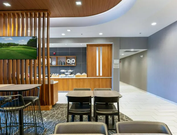 SpringHill Suites by Marriott Chattanooga South/Ringgold, GA hotel detail image 2