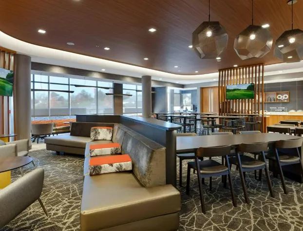 SpringHill Suites by Marriott Chattanooga South/Ringgold, GA hotel detail image 4