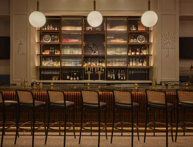 Renaissance Saint Elm Dallas Downtown Hotel hotel detail image 4