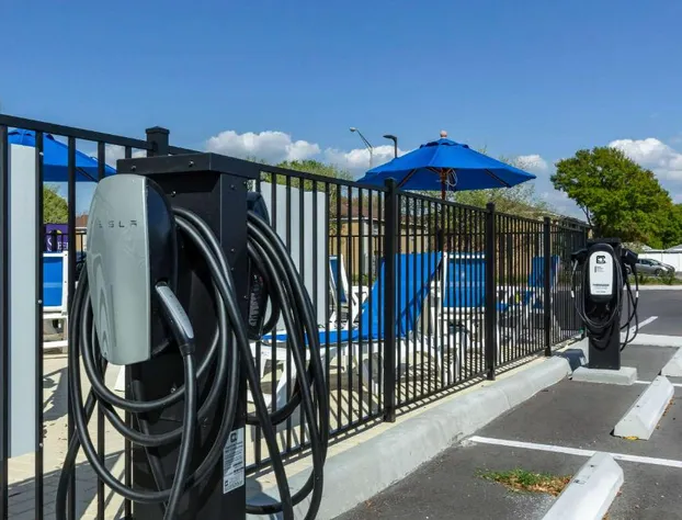 Sleep Inn & Suites Tampa South hotel detail image 3