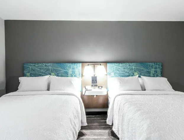 Hampton Inn Locust Grove hotel detail image 4