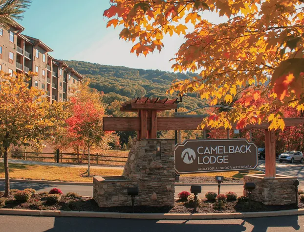 Camelback Lodge & Aquatopia Indoor Waterpark hotel detail image 4