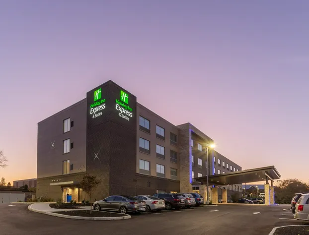 Holiday Inn Express & Suites Florence-Cincinnati Airport by IHG hotel detail image 1