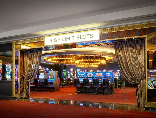 Circa Resort & Casino – Adults Only hotel detail image 4