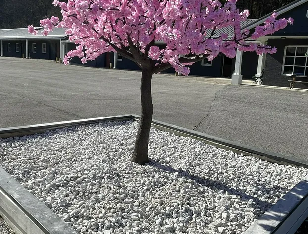 Elkins Economy Inn hotel detail image 1