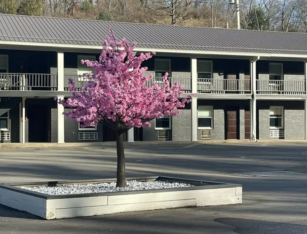 Elkins Economy Inn hotel detail image 2
