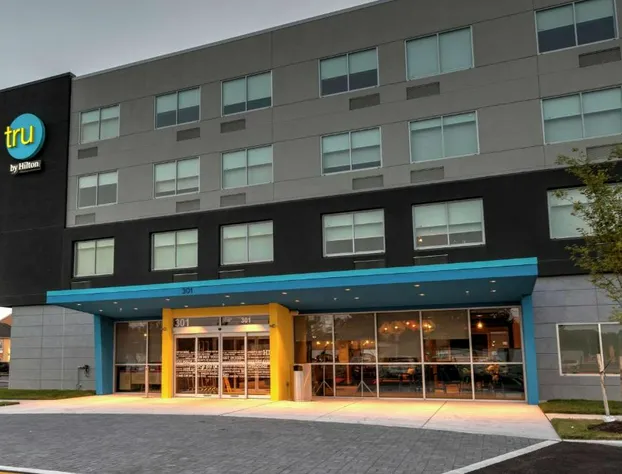 Tru by Hilton Georgetown hotel detail image 2