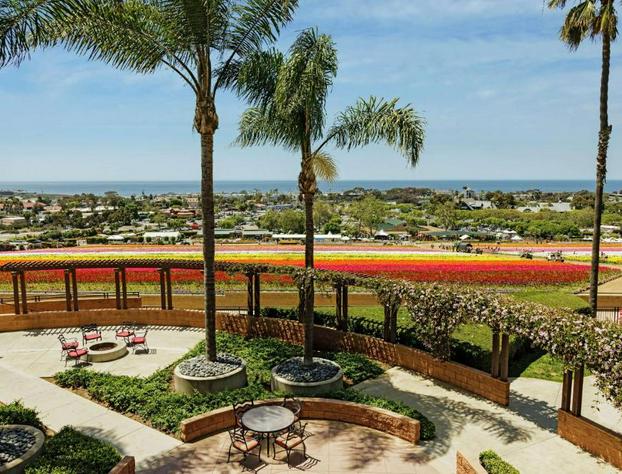 The Cassara Carlsbad, Tapestry Collection by Hilton hotel detail image 1