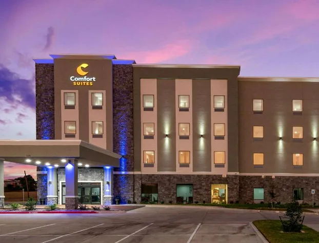 Comfort Suites DeSoto Dallas South hotel detail image 2