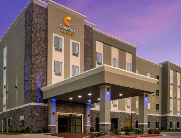 Comfort Suites DeSoto Dallas South hotel detail image 4