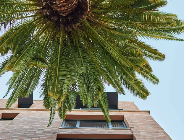 The Fort Sutter Sacramento, Tapestry Collection by Hilton hotel detail image 3