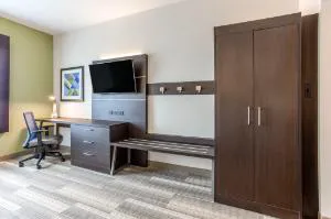 Holiday Inn Express & Suites Ottawa by IHG hotel detail image 3
