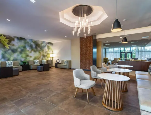 Wyndham Garden Orlando Universal / I Drive hotel detail image 4