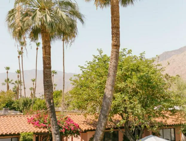 Les Cactus hotel detail image 1