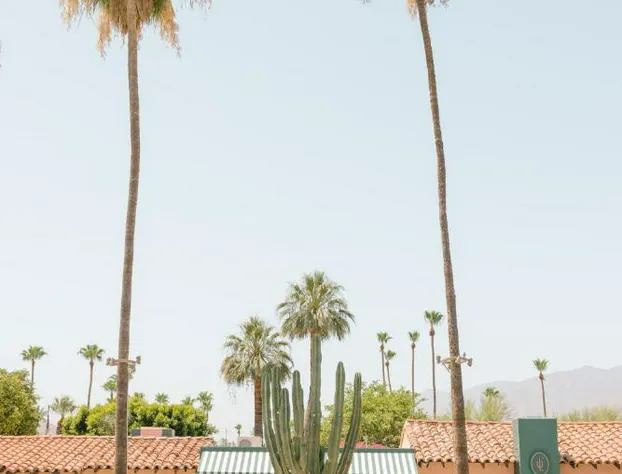 Les Cactus hotel detail image 4