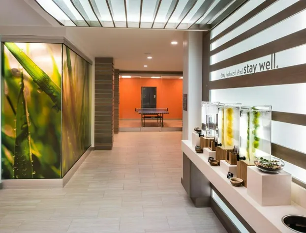 EVEN Hotel Shenandoah - The Woodlands by IHG hotel detail image 3