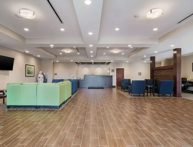 Comfort Inn & Suites Rock Hill Northeast hotel detail image 3