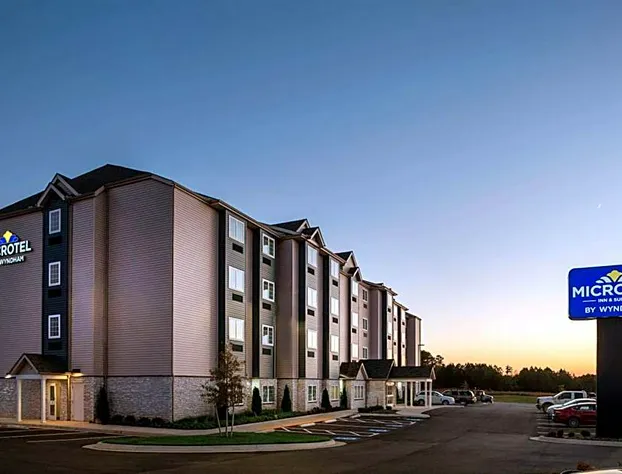 Microtel Inn & Suites by Wyndham South Hill hotel detail image 1