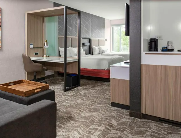SpringHill Suites by Marriott Atlanta Alpharetta/Roswell hotel detail image 3