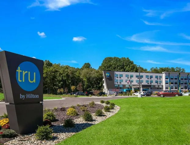 Tru by Hilton Saint Joseph hotel detail image 2