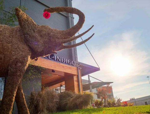 Hotel Indigo Chattanooga - Downtown by IHG hotel detail image 1