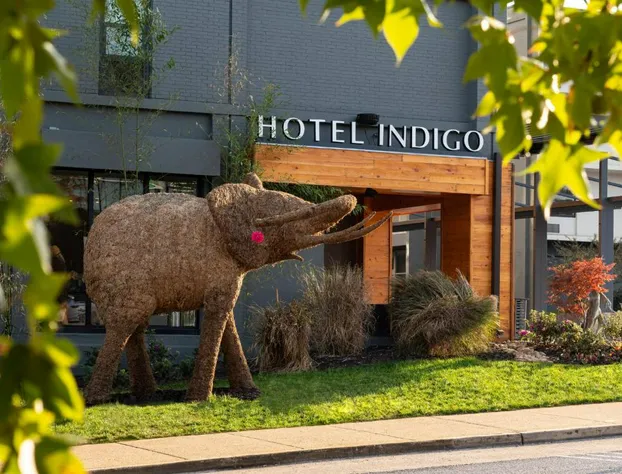 Hotel Indigo Chattanooga - Downtown by IHG hotel detail image 3