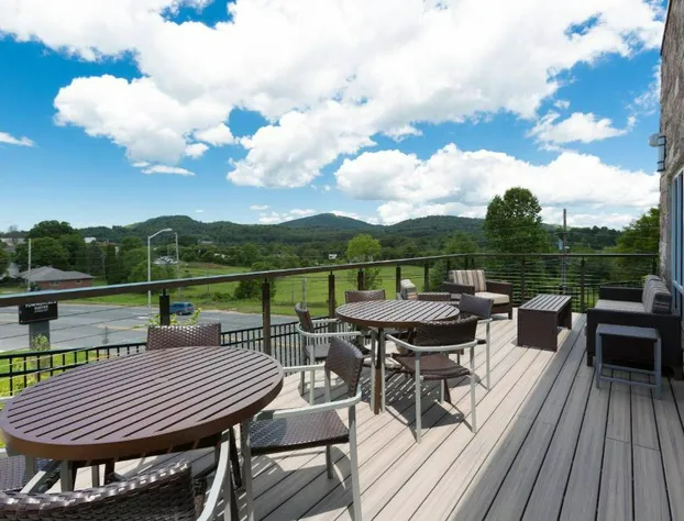 TownePlace Suites by Marriott Boone hotel detail image 2
