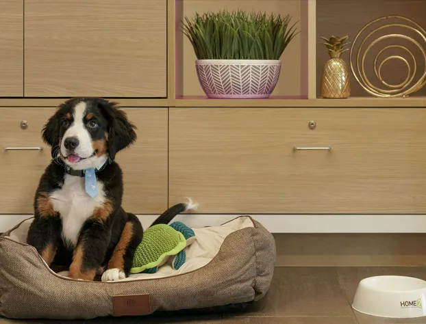 Home2 Suites by Hilton Ephrata hotel detail image 3