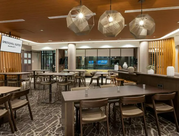SpringHill Suites by Marriott Minneapolis Maple Grove/Arbor Lakes hotel detail image 3