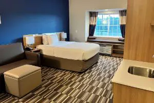 Microtel Inn & Suites by Wyndham Fountain/Fort Carson hotel detail image 2