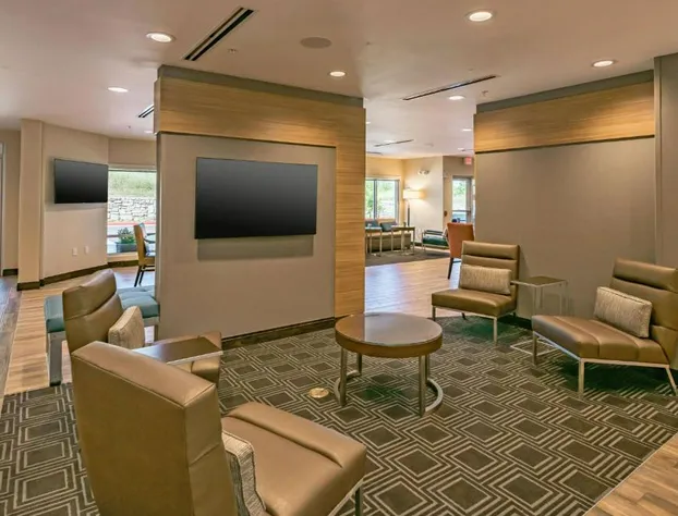 TownePlace Suites by Marriott Austin South hotel detail image 2