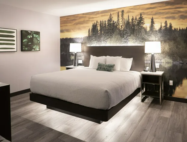 Cambria Hotel Shelby Township - Detroit Utica hotel detail image 4