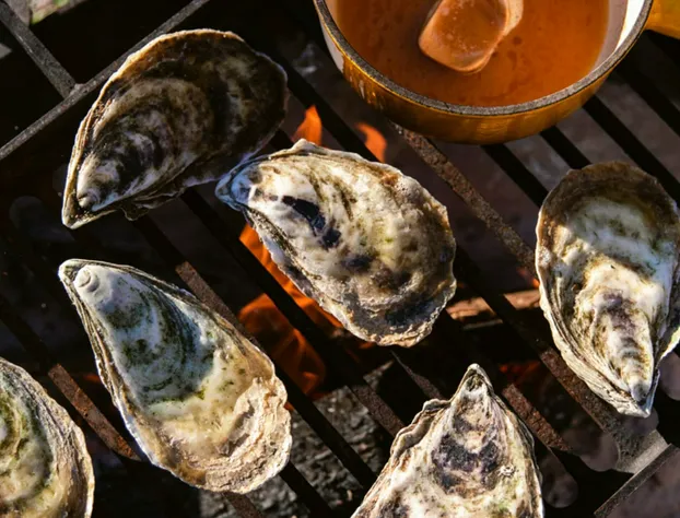 AutoCamp Cape Cod hotel detail image 3