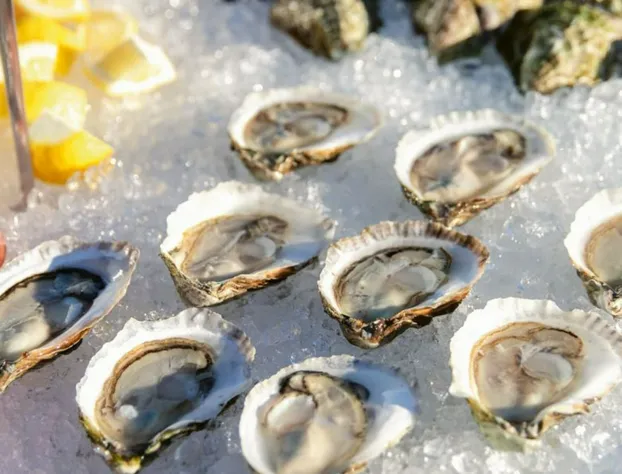 AutoCamp Cape Cod hotel detail image 4