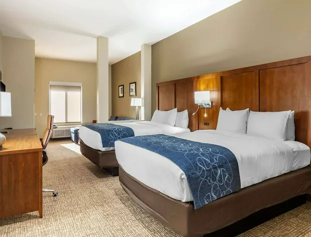 Comfort Suites Greensboro - High Point hotel detail image 4