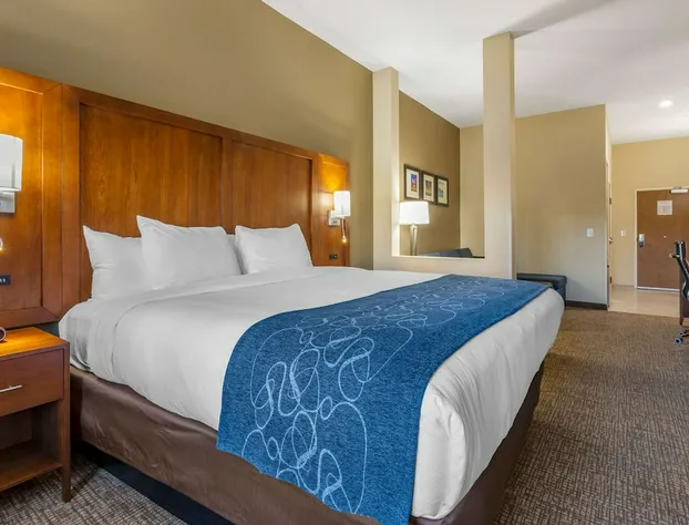 Comfort Suites Greensboro - High Point hotel detail image 4