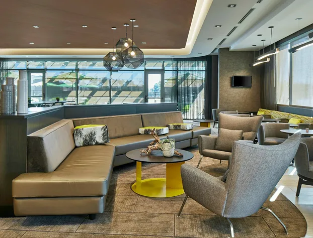 SpringHill Suites by Marriott Charlotte at Carowinds hotel detail image 2