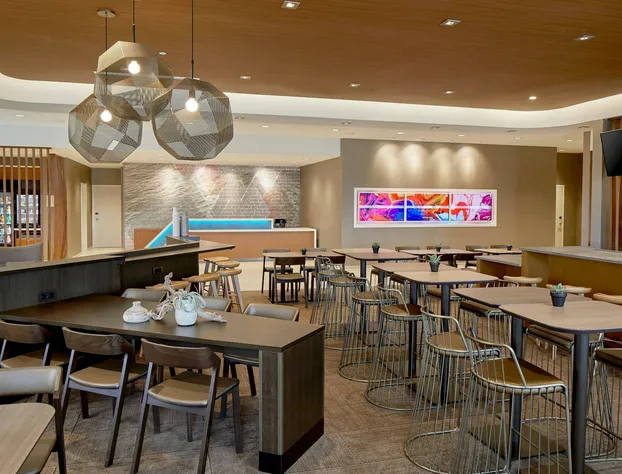 SpringHill Suites by Marriott Charlotte at Carowinds hotel detail image 3