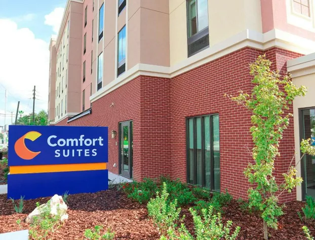 Comfort Suites Gainesville near University hotel detail image 2