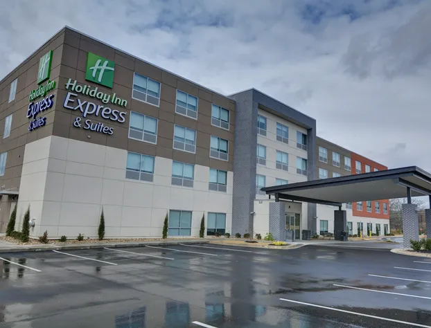 Holiday Inn Express & Suites Greenville - Taylors by IHG hotel detail image 2
