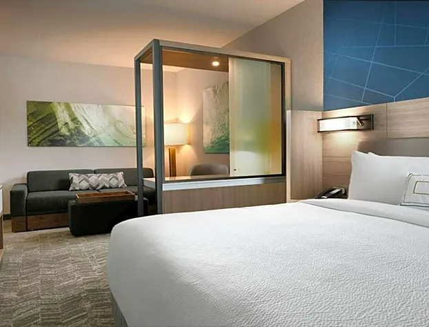 SpringHill Suites by Marriott Dallas DFW Airport South/CentrePort hotel detail image 4